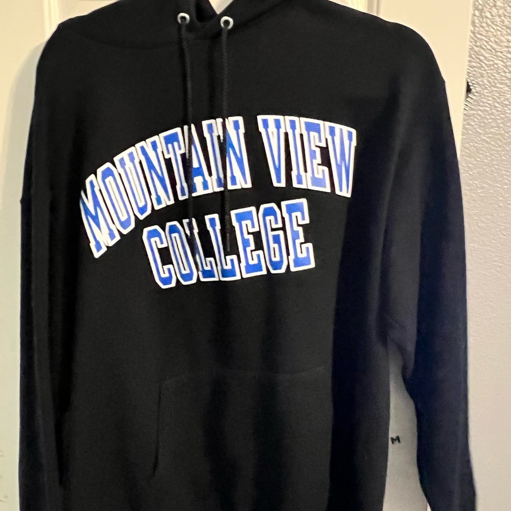 champion hoodie